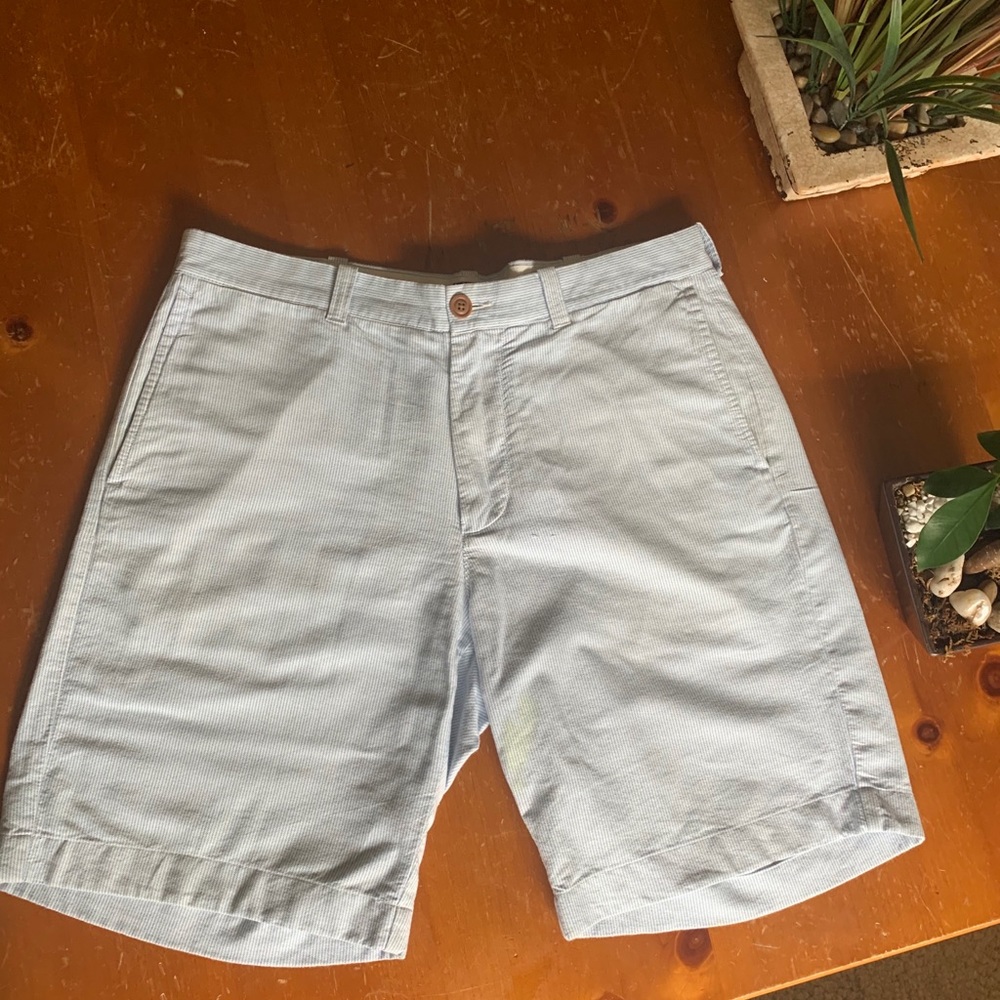 J Crew Shorts - 34W